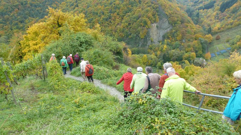 Rotweinwanderung 24.10.2015